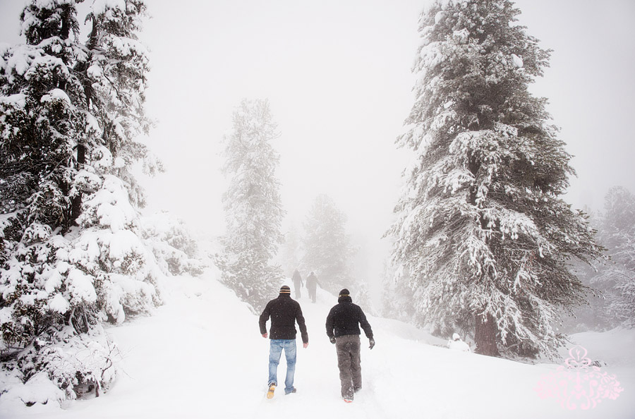 Winter Wonderland Wedding in Austria Best of Wedding Photography