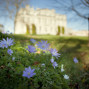 Kingston Maurward Weddings