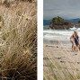 New Zealand wedding at Tawanui beach by French photographer Anais Chaine www.anaischaine.com