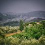 tuscany landscape