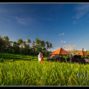 Bali Beach wedding