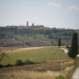 elopement_photographer_in_Siena_02