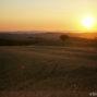 elopement_photographer_in_Siena_69