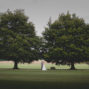 Sherborne Castle Wedding Photographers