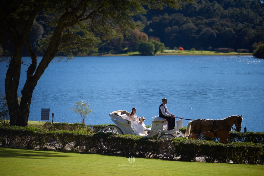 Planning your wedding at Sierra Lago, Mascotas - horse coach