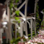 Planning your wedding at Sierra Lago, Mascotas - aisle