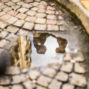 Paris reflections