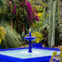 jardin marjorelle