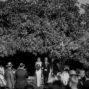 VINES weddings Quinta de Sant´Ana Portugal