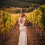 Quinta de Sant´Ana Weddings Portugal Vines