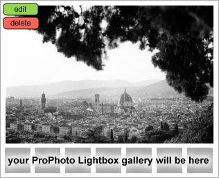 Same-Sex Photography - Wedding Proposal in Florence